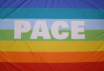 Fahne PACE