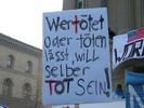 100-0087 IMG