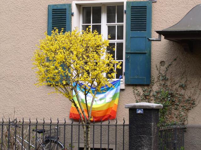 Optingerstrasse